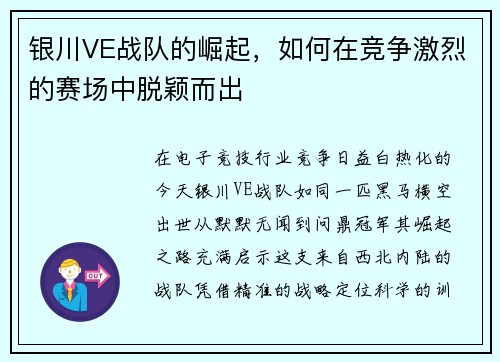 银川VE战队的崛起，如何在竞争激烈的赛场中脱颖而出