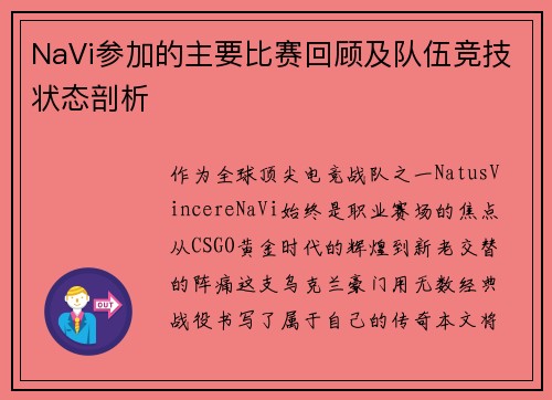 NaVi参加的主要比赛回顾及队伍竞技状态剖析